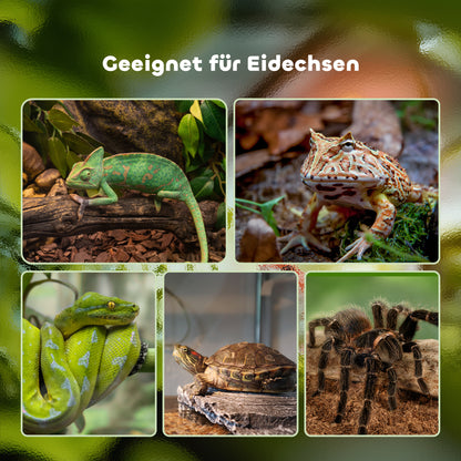 PawHut Terrarium für Reptilien Reptile Fütterungsbox Glasterrarium Amphibien Spinnentiere mit Termometer Reptiliensuchtbox Metall Schwarz 50 x 30 x 35 cm