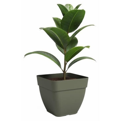 Pot - ARTEVASI - CAPRI CAMPANA - Square - Dry green - L36.5 x D36.5 x H33.5 cm