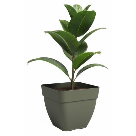 Pot - ARTEVASI - CAPRI CAMPANA - Square - Dry green - L36.5 x D36.5 x H33.5 cm