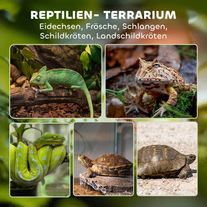 PawHut Glas-Terrarium für Reptilien, erhöhter &amp; wasserdichter Boden, Knopfschloss